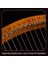 Lir Harp 19 String Yeni Başlayanlar Harp, Taşınabilir 19 Tonlu Küçük Harp 19 String Lir Müzikal Enstrümanlar Masif Ahşap Lir Harp (Yurt Dışından) 2