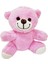 Peluş Pembe Renk Ayıcık 1