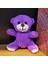 Peluş Mor Ayıcık 1