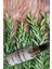 Biberiye Suyu (Rosemary Hydrosol) 100 ml %100 SAF DOĞAL 3
