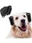 Gürültü Hasarını Azaltmak Için Gürültü Önleyici Köpek Kulak Muffs, Gürültü Azaltma, Işitme Koruması, Ayarlanabilir Elastik Bant (Yurt Dışından) 2