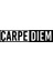 Carpe Diem Sticker 10 x 3 cm 1