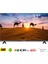 32HS24000 32" 80 Ekran Uydu Alıcılı Hd Android Tv 2