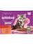 Junior Kitten Pouch Yaş Mama (4X85GR) 5ADET Klasik Seçenekler Tavuk,sığır 2