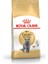 British Shorthair Yetişkin Kedi Maması 2kg 11