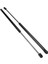 2pcs Ön Bonnet Hood Asansör Struts Acura Mdx Için Şok Gaz Silindir Seti 2001-2006 2703MH 7645QF 74145S3VA01 (Yurt Dışından) 1