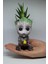 3D Dekoratif Saksı+ Canlı Sukulent Bitkili Civciv Figürlü 2