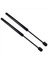 Maserati Quattroporte Için 2pcs Bonnet Hood Strut Hood Gaz Bahar Şoku 2004-2012 Sedan (Yurt Dışından) 2