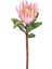Yapay Protea Çiçeği Pembe 60 Cm. 1