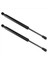 2pcs Araba Gaz Asansörü Davlumbazları Struts Bmw-X5 E53 2000-2006 51238402551 Için Şok Ön Kaput Botu (Yurt Dışından) 2