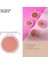 Callista Color Art Blush Allık 110 Blushing Pink 1