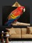 Kırmızı Macaw Papağanı Portresi Dekoratif Kanvas - Mdf Ahşap Tablo 3