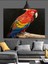 Kırmızı Macaw Papağanı Portresi Dekoratif Kanvas - Mdf Ahşap Tablo 4