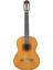 C70 Klasik Gitar 1