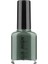 Alıx Avıen Soluk Yeşil 110 - Yüksek Pigmentli Uzun Süreli Kalıcılık Hızlı Kuruma - Nail Lacquer 110 1