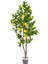 Yapay Ağacı Gerçek Dokulu Sarı-Yeşil 150 Cm. 1