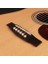 EARTH100NS Akustik Gitar 2