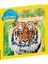 National Geographic Kids Dünyamızı Keşfedin Kaplanlar 1