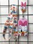 Daisy Duck Boyun Askısı Yoyo ve Kartlık Set 1