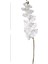 Çiçek Orkide Beyaz 115 Cm. 2