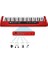 CTK-3000RD 61 Tuş Hassasiyetli Elekronik Org, Kırmızı 5