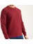 Basıc Bisiklet Yaka Bordo Paris Arma Regular Fit 3