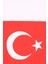 Türk Bayraklı Basic Çocuk Tişört - 26Y 1453 5