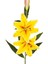 Yapay Çiçek Lilyum Sarı 90 Cm. 1