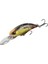 Tetra Works Toto Shad 48S CPA0608 Gold Rainbow 1
