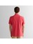 Erkek Kırmızı Regular Fit Polo 2