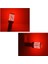 .qualıty. ( 2 x Adet ) 1 Takım. LED 1016 21/5W Çiftduy Şaşı Tırnak Ampul 12V 144 LED Şeffaf Red ( 21/5W 1016 Ampul 144 LED Kırmızı ) 4