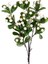 Yılbaşı Çiçeği Berry Pike Kokina Beyaz 100 Cm. 3
