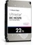 Digital Ultrastar Dc HC570 3.5" 22 Tb Seri Ata Iıı 1
