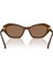 Güneş Gözlüğü SK6048 54 108473 2
