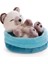 47893 Soft Basket 12 cm – Sleeping Pets Cuddly Toy Siamese Cats For Girls, Boys & Babies – Fluffy Stuffed Cuddle, Play & Sleep With – Cosy Plush Animals, Paws, Beige 3