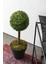 Yapay Top Şimşir Ağacı Tekli 70 cm 2