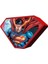 3D - Superman - 300 Parça Puzzle - Metal Kutu 2