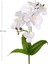 Yapay Orkide Gerçek Dokunuş Beyaz 45 Cm. 2