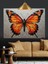Muhteşem Kelebek Turuncu Kanat Dekoratif Kanvas - Mdf Ahşap Tablo 1