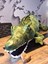 Timsah Dev Crocodile 2 Metre Peluş 1