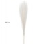 Yapay Bitki Pampas Beyaz Dal 108 Cm. 2
