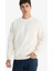 Relax Fit Bisiklet Yaka Polar Sweatshirt F3685AX25WN 1