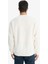 Relax Fit Bisiklet Yaka Polar Sweatshirt F3685AX25WN 6