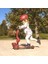 & Ride Highwaykick 1 Lifestyle Wildcat – Çocuklar Için 2'si 1 Arada Denge Bisikleti ve Scooter (1 – 5 Yaş), Depolama Alanlı, Yüksekliği Ayarlanabilir, Emniyet Pedi, 50 Kg'a Kadar, Tasarım 5