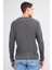 Çetinkaya Mentality 5295 Bisiklet Yaka 1/18 Akrilik Regular Triko Koyu Gri 4