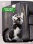 Kedi Koltuk Tırmalama Mobilya Tırmalama Önleyici Bandı Şeffaf Yapışkanlı 22x50 Cm 1