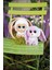 48681 Glubschıs Soft Toy Sheep 15CM 2