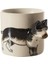 Concept Fincan Dog 100 ml 2