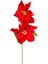 Yılbaşı Çiçeği Puansetya 2 Çiçekli Kırmızı 75 Cm. 2