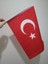 Miting Türk Bayrağı Raşel Kumaş Pigment Baskı 30X45 cm 10 Adet – Tören ve Dış Mekan Kullanıma Uygun 2